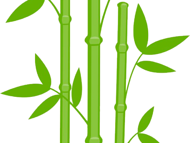Black And White Clipart Bamboo - Bamboo Clipart - Png Download (640x480), Png Download