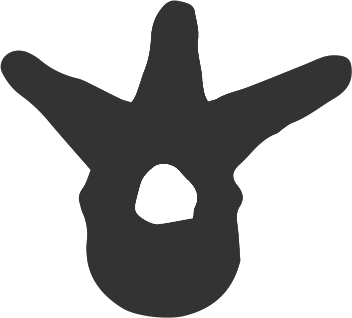 Chiropractic Clipart (800x800), Png Download