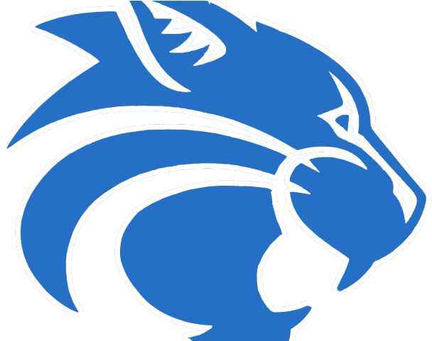 Wildcat Clipart Locust Grove - Richmond Hill High School Wildcats - Png Download (640x480), Png Download