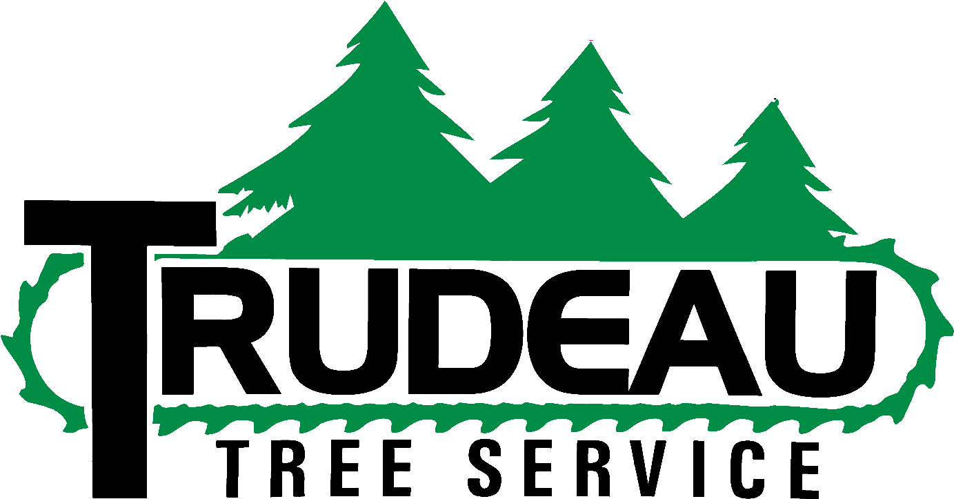 Facebook Clipart (1500x804), Png Download