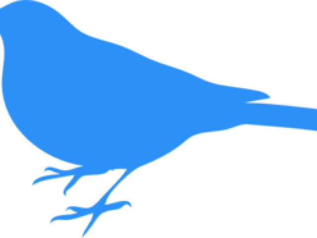 Baby Clipart Blue Bird - Bird Silhouette Clip Art - Png Download (640x480), Png Download
