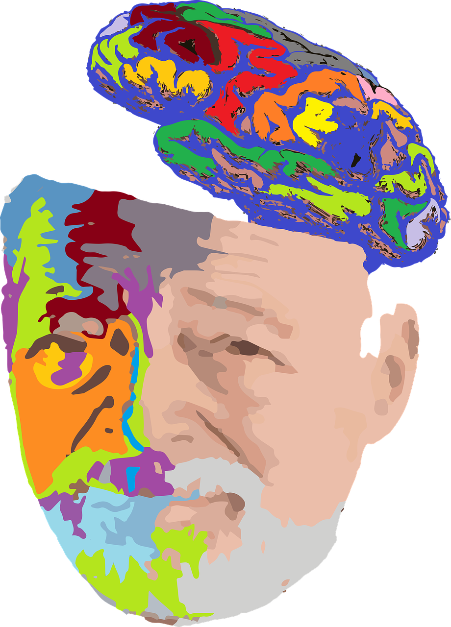 Old Clipart Orang Tua - Abuelo Cerebro - Png Download (517x720), Png Download