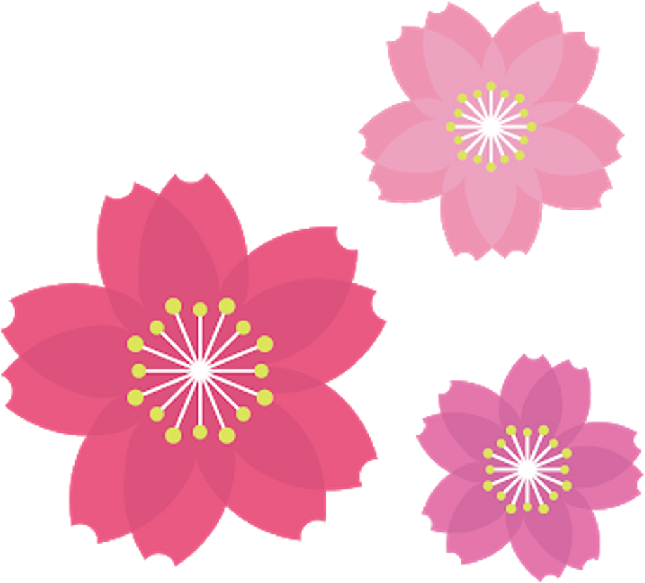 African Daisy Clipart (1024x1024), Png Download