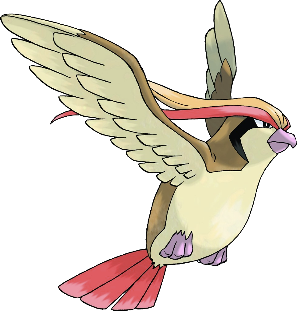 Pidgeot Png Clipart (966x1010), Png Download