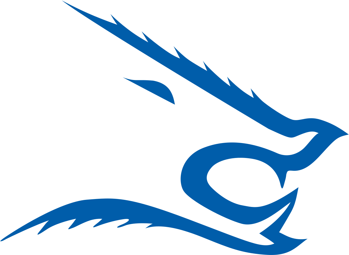 Helmet Clipart Army - Texas A&m Kingsville Javelinas - Png Download (1200x888), Png Download