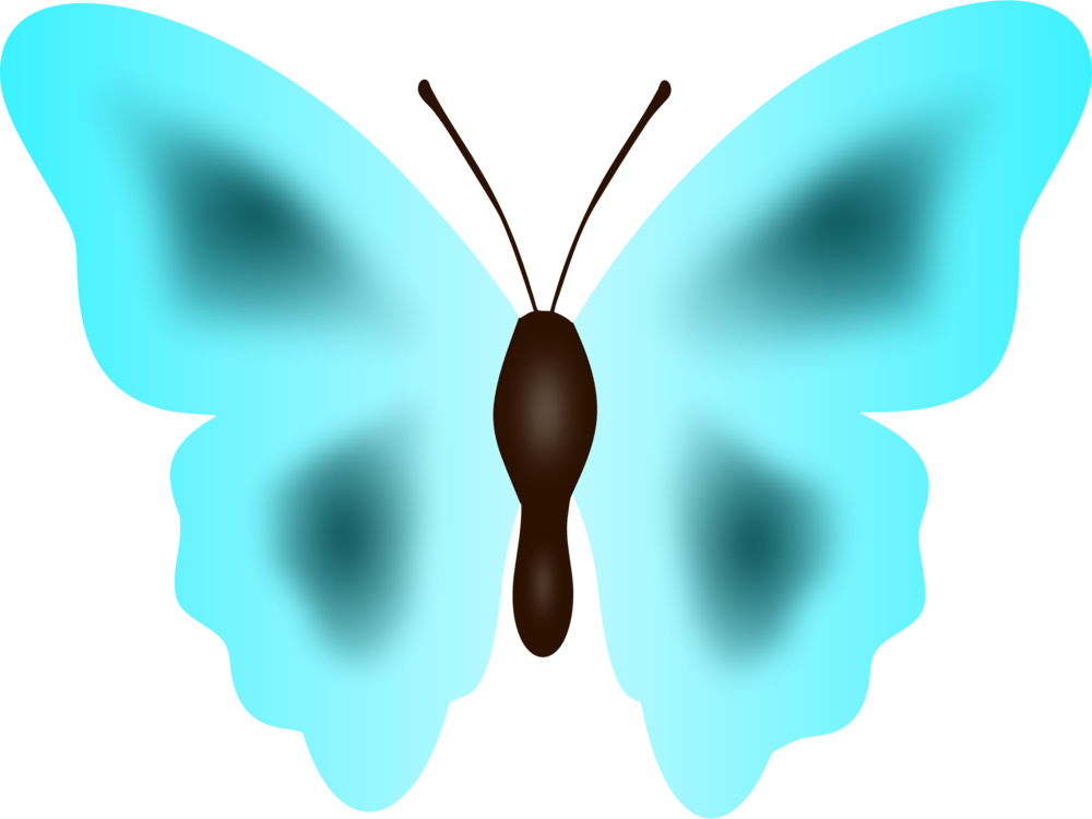 All Photo Png Clipart - Butterfly Transparent Png (1000x750), Png Download