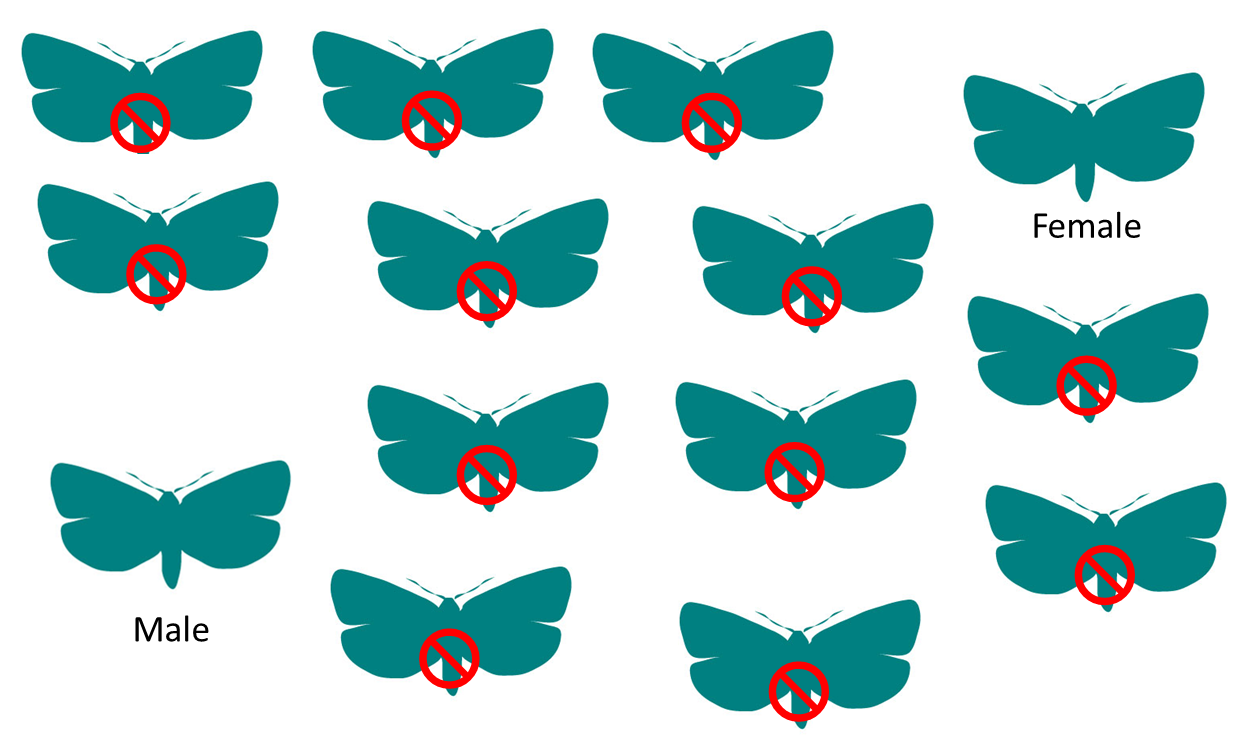 Sit Example - Sterile Insect Technique Clipart (1257x791), Png Download
