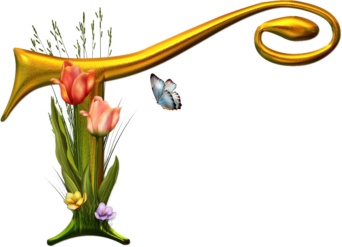 All S Files - Women Natural Real Dried Flower Round Glass Bottle Clipart (1161x839), Png Download