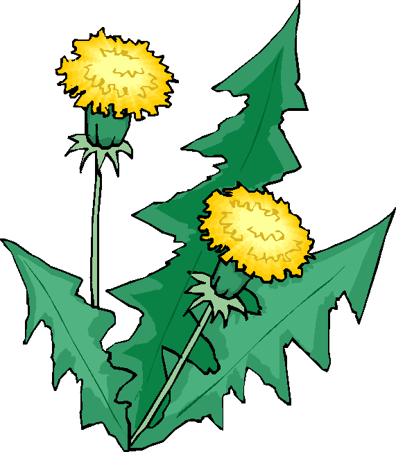 Decomposer And Nutrients Cycle Clipart (571x652), Png Download