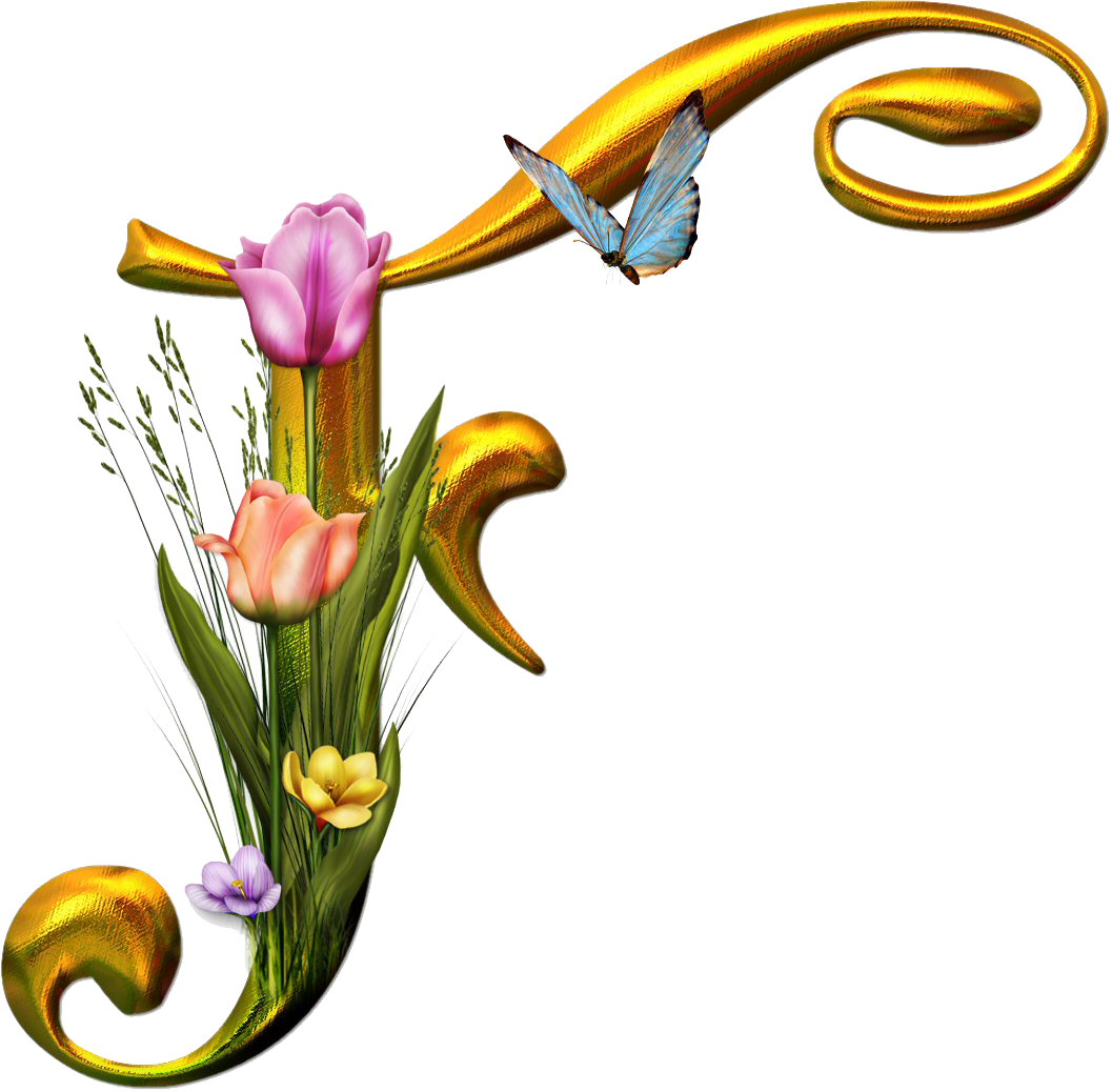 All E Files - Alphabet Clipart (1057x1038), Png Download