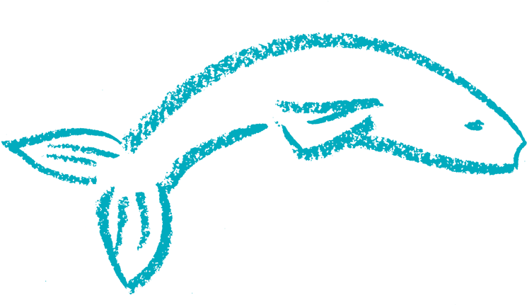 Chocolate Cake With Vanilla Buttercream Clipart (800x430), Png Download