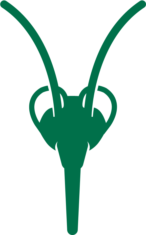 Change Water In Small Containers Like Bird Baths And - Philadelphia Clipart (1043x1042), Png Download