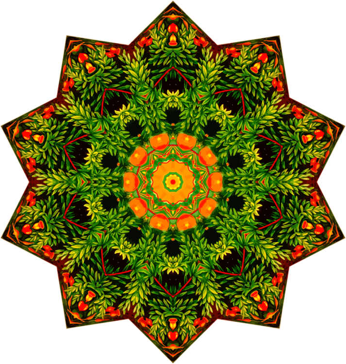 Cafepress Vintage Douchegordijn Symmetry Canvas Flower - Vintage Plants Decorative Nature Pillow Case Clipart (713x750), Png Download