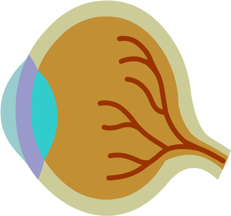 Eyes - Illustration Clipart (880x880), Png Download