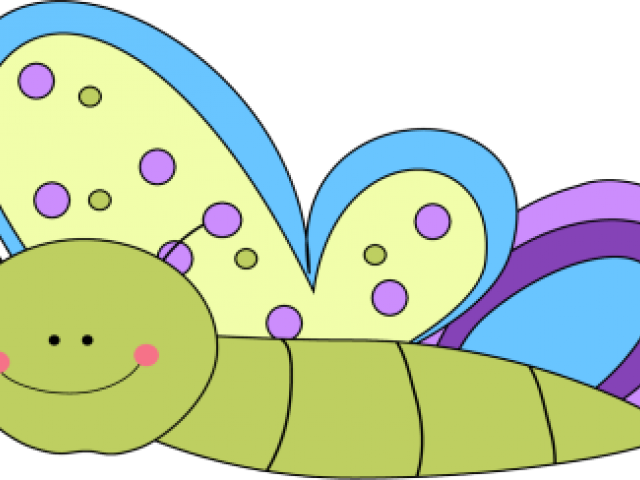 Rainbow Butterfly Clipart Back Ground - Clip Art - Png Download (640x480), Png Download