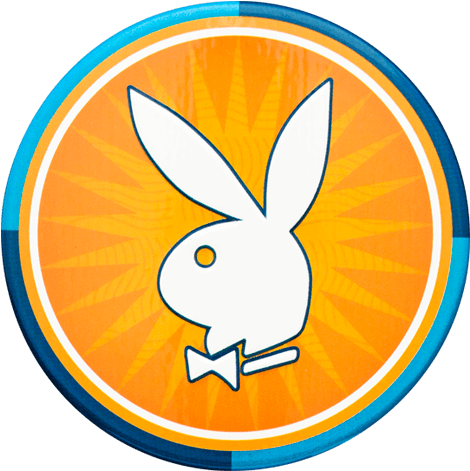 Paradise Colección Clipart (640x640), Png Download