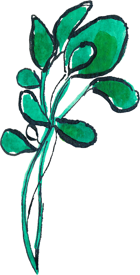 Montana Harvest Of The - Leaf Vegetable Clipart (446x877), Png Download