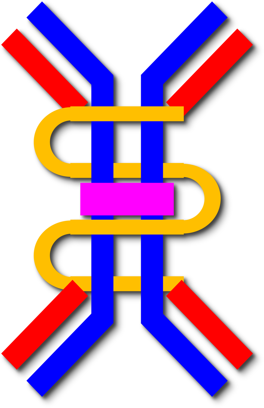 Iga Nephropathy - Wikipedia - Iga Antibody Png Clipart (1200x1697), Png Download