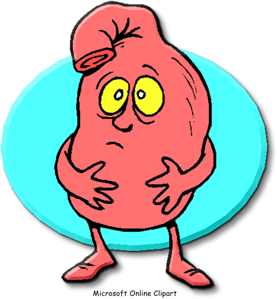 Indigestion Gastric Acid Pneumonia Pathophysiology - Upset Stomach Clipart (565x611), Png Download