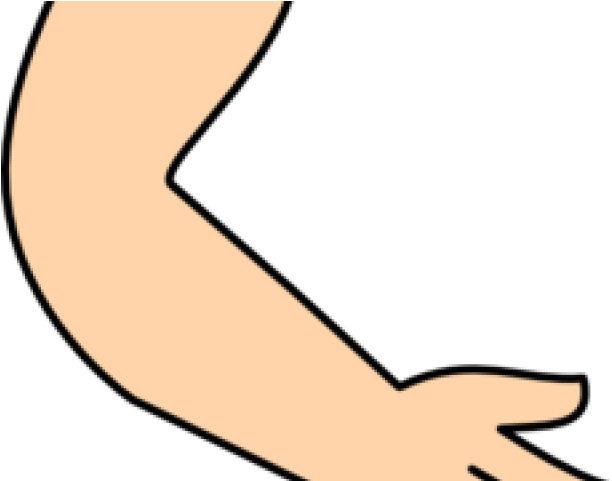 Hand Clipart Arm - Vector7 - Png Download (640x480), Png Download