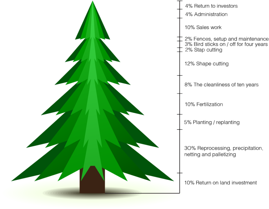 Christmas Stunning Christmas Lights At Charlotte Motor - Clip Art Stylized Christmas Tree - Png Download (958x720), Png Download