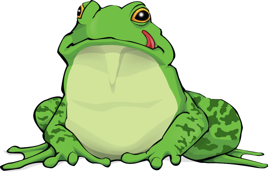 Amphibian Png Free Download - Amphibian Png Clipart (937x603), Png Download