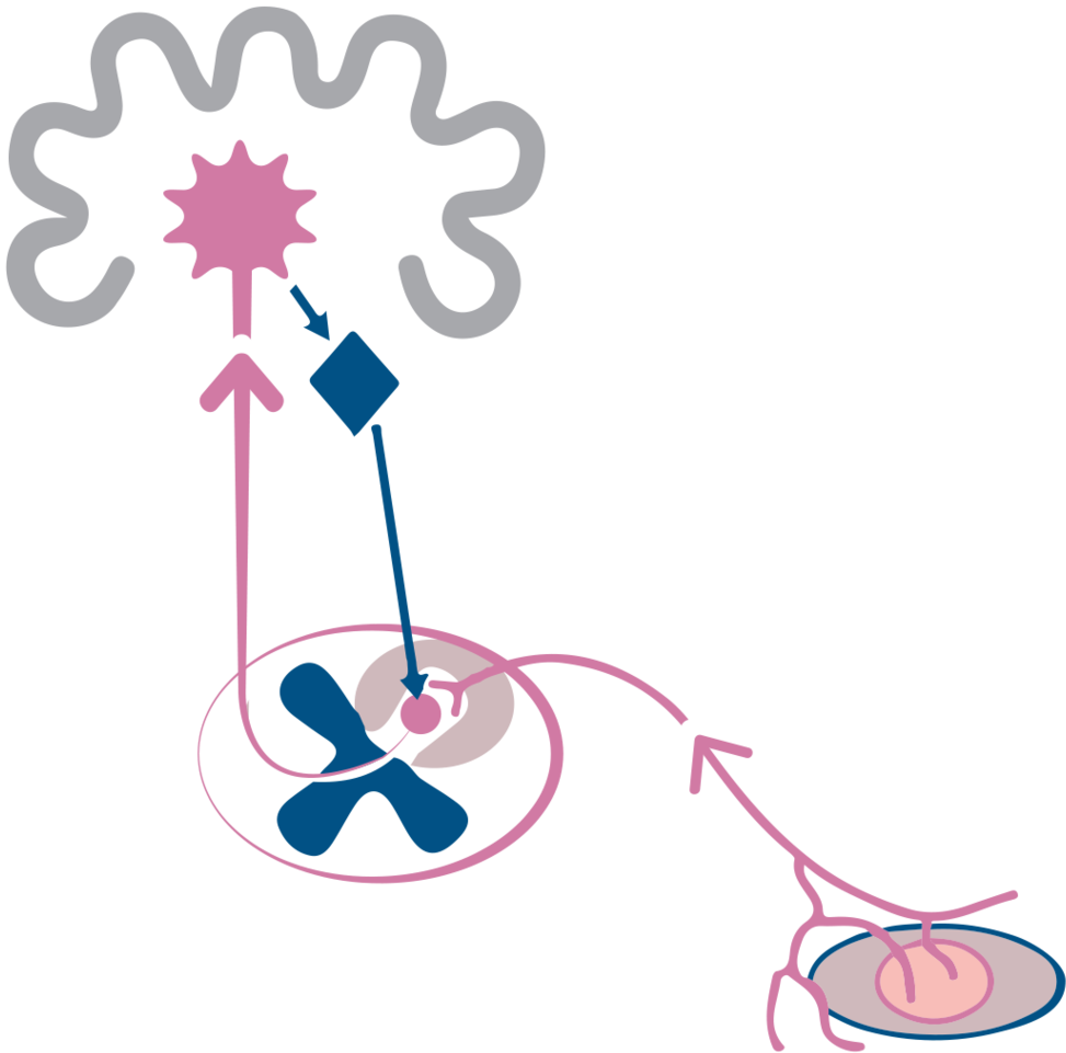 Pain Education Clipart (1000x1001), Png Download