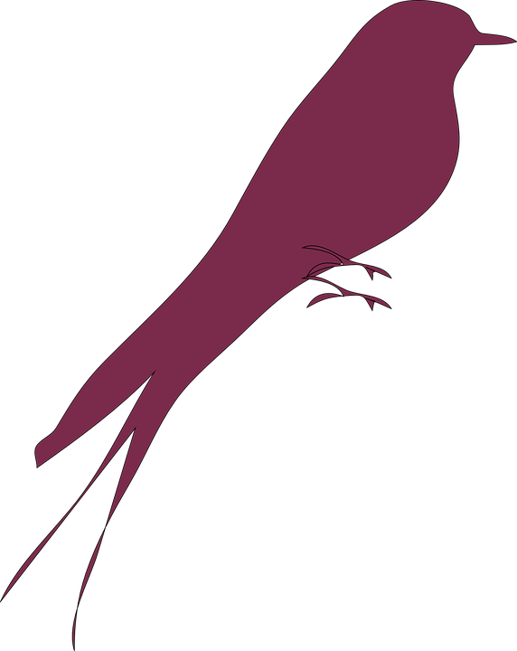 Love Birds Clipart Flying - Love Birds Silhouette Art - Png Download (572x720), Png Download