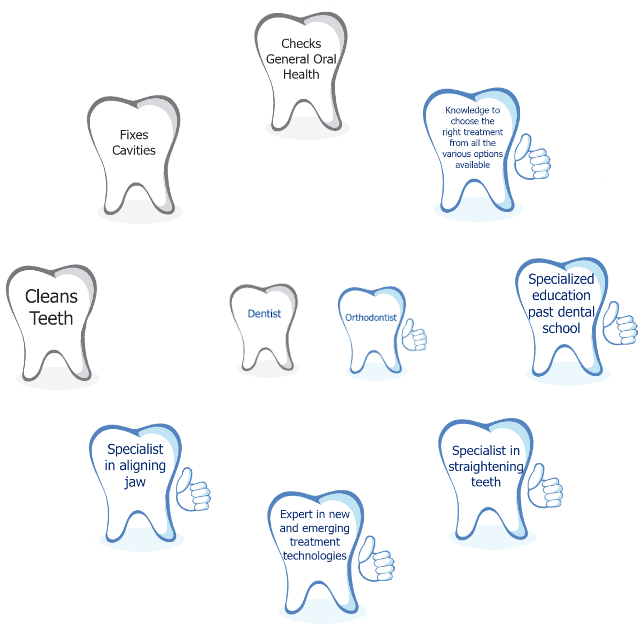 Whats The Difference Between A Dentist And An Orthodontist - Dallas Clipart (650x650), Png Download