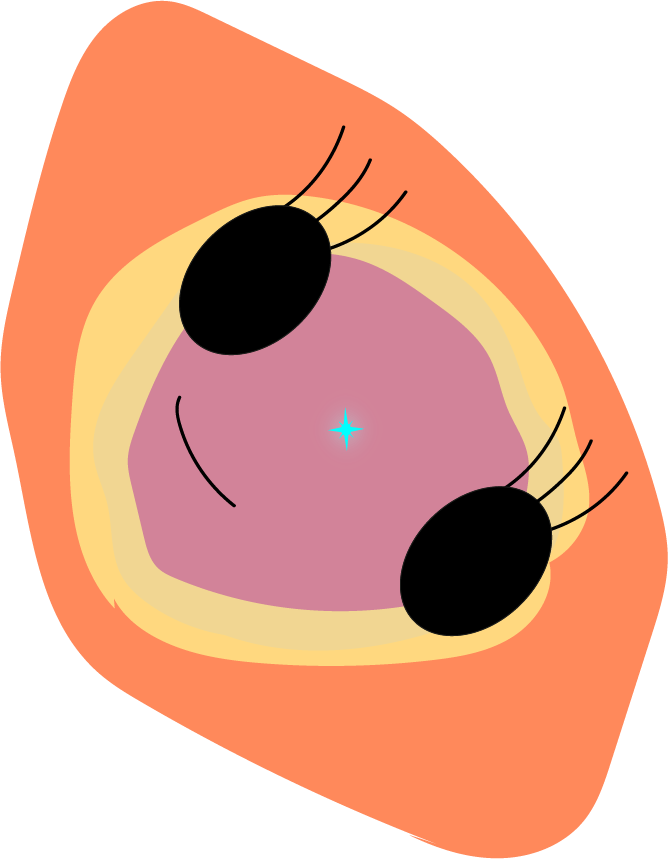 Lips Clipart Gender Reveal - Clip Art - Png Download (668x859), Png Download