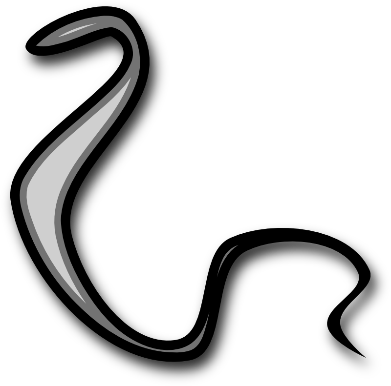 Clipart - Serpent - Moses Stick Png Transparent Png (800x791), Png Download