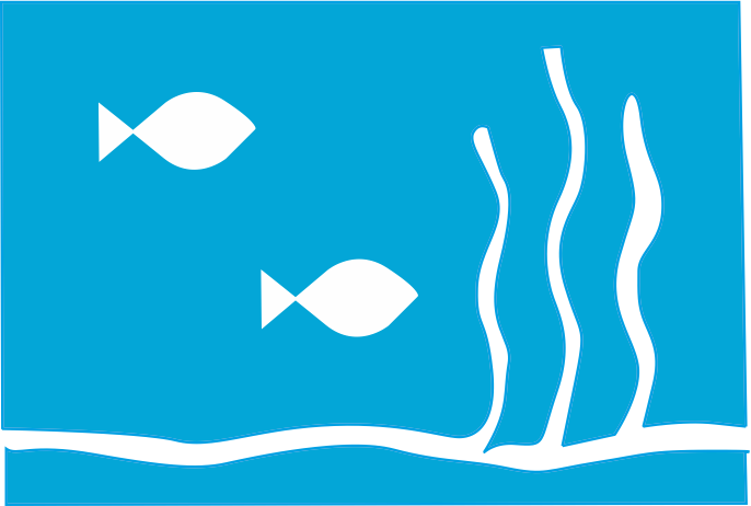 Aquarium Tank Accessories Clipart (686x462), Png Download