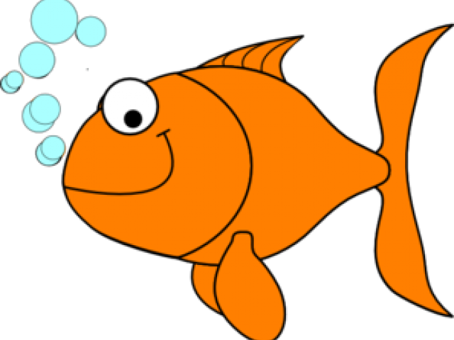 Goldfish Clipart Png Transparent Png (640x480), Png Download