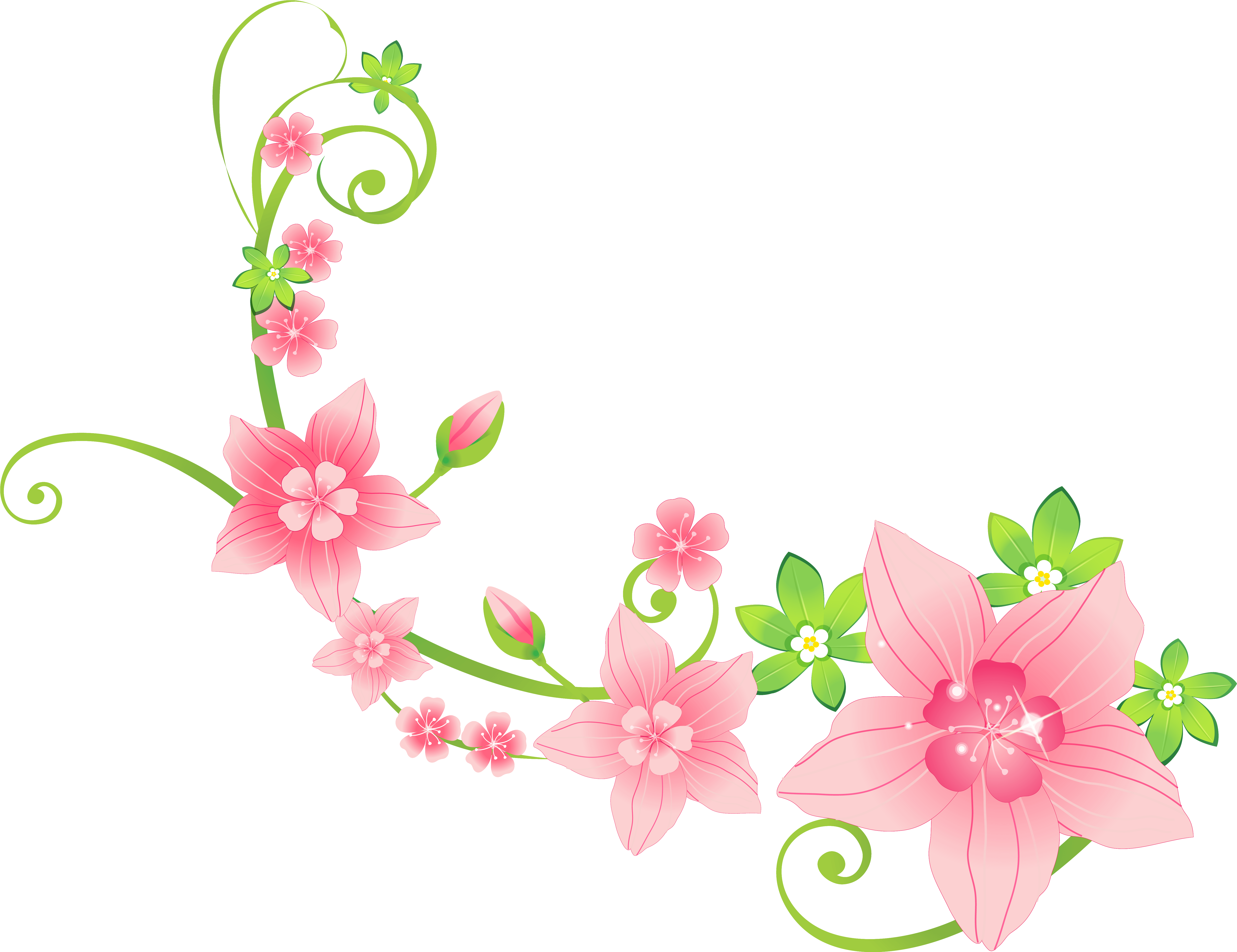 Floral Clipart Png Transparent Png (6268x4826), Png Download