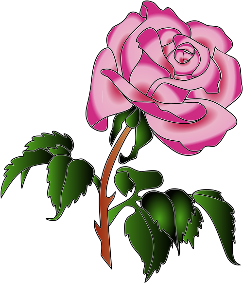 Rose In Colors Clip Art - Clip Art - Png Download (481x800), Png Download