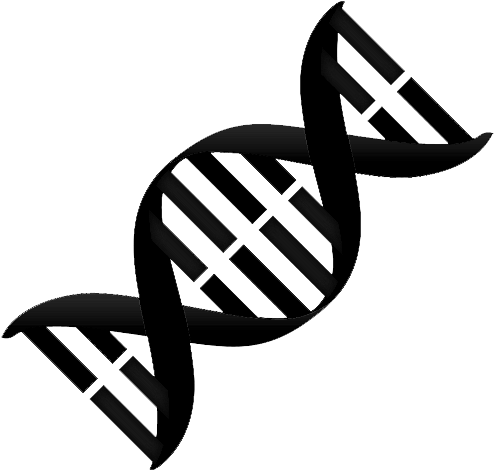 Eazel Search Clipart (708x566), Png Download