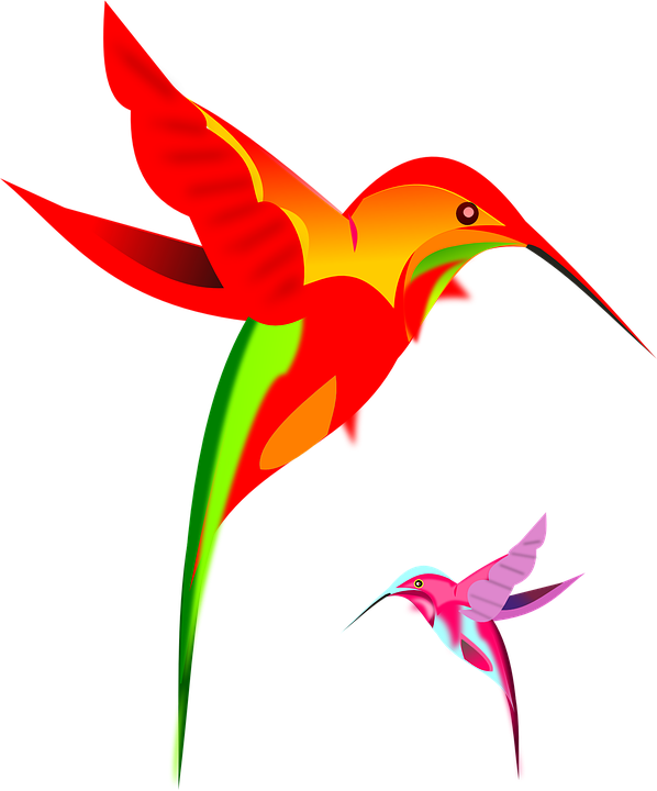 Hummingbird Png Image With Transparent Background - Bird Clip Art (598x720), Png Download