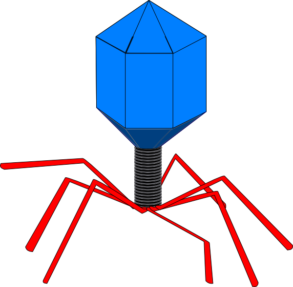 Clip Art At Clker - Virus Clipart - Png Download (600x589), Png Download
