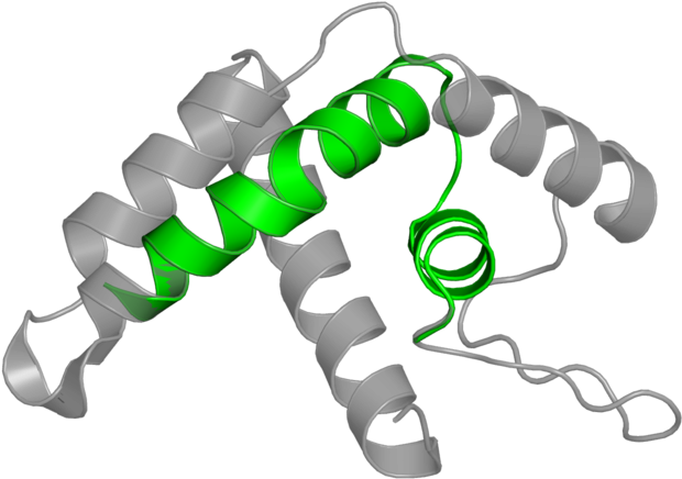 Illustration Clipart (800x800), Png Download