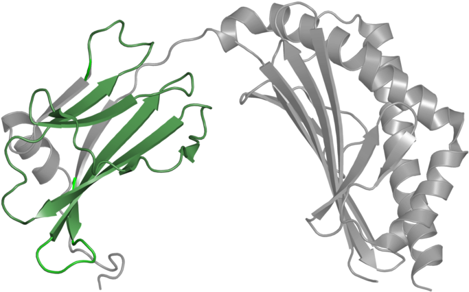 Illustration Clipart (800x800), Png Download