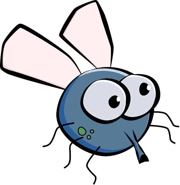 Housefly, House Fly, Fly, Insect, Wings, Eyes, Cartoon - Budget Tote.drawing Fly. Tote Bag, Adult Unisex, Natural Clipart (620x640), Png Download