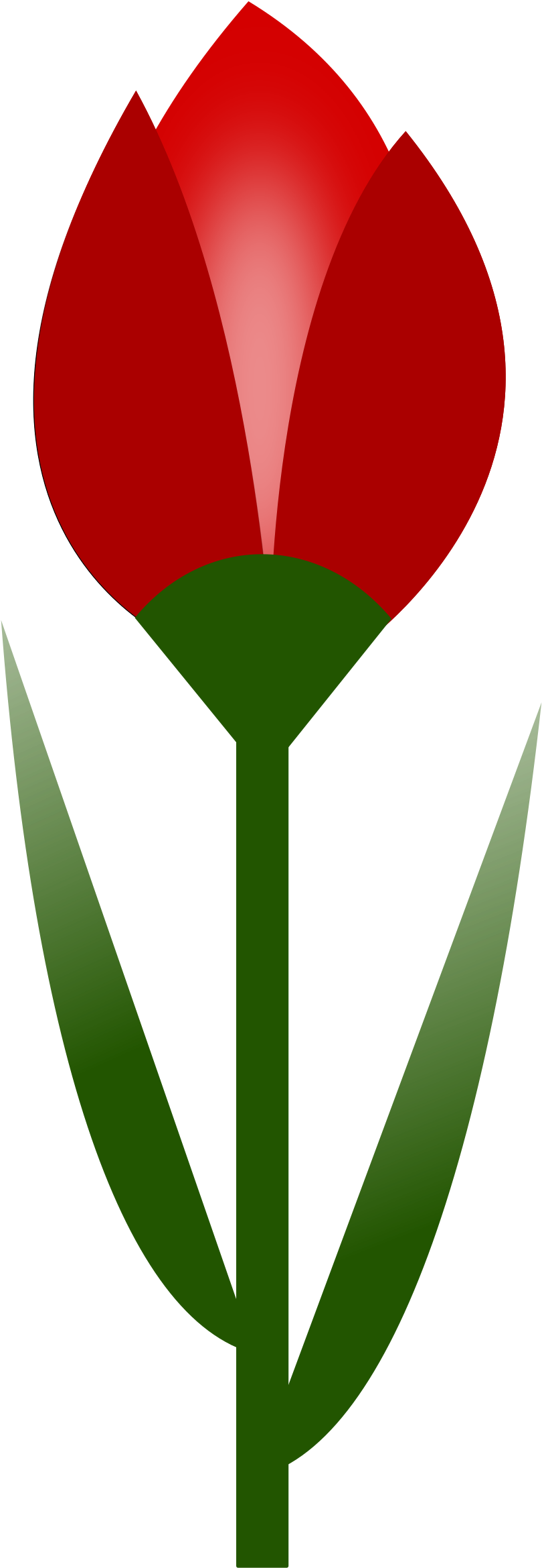 Big Image - Tulip Clipart (2400x2400), Png Download