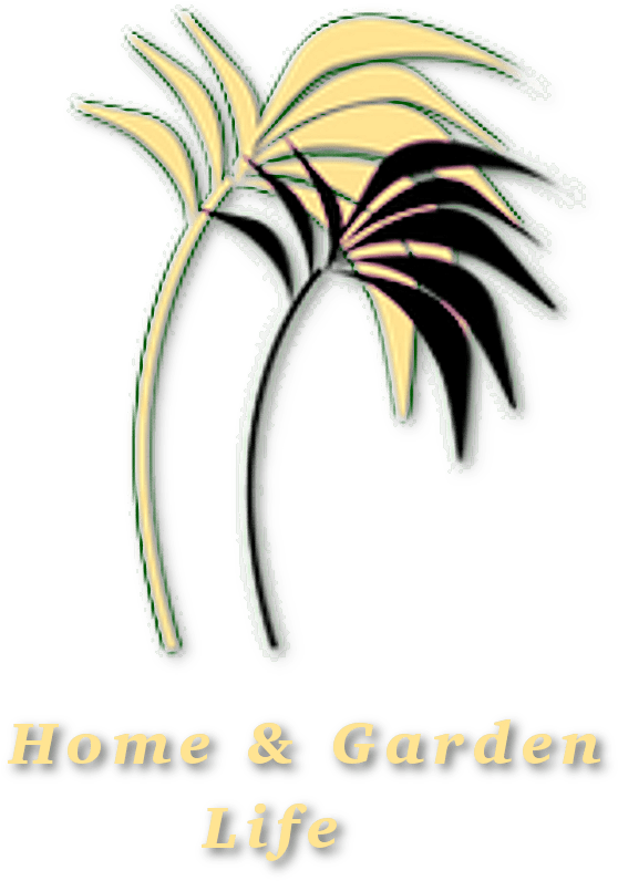 Graphic Design Clipart (568x904), Png Download