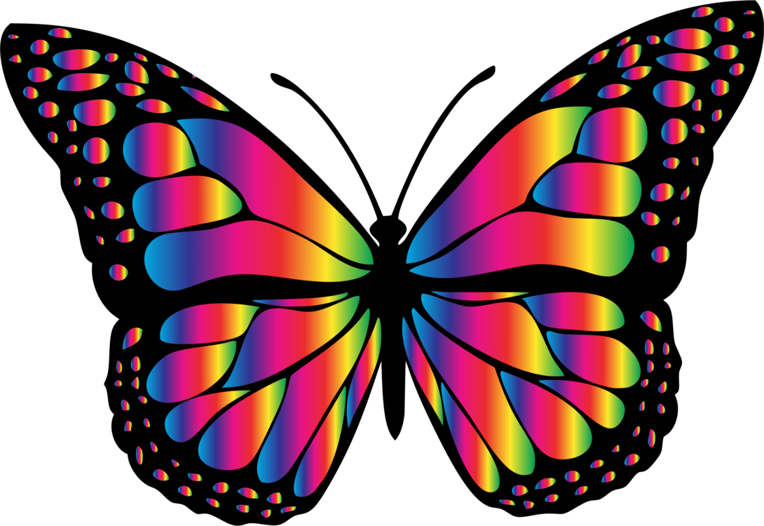 Monarch Butterfly Insect Animal Chrissy's Wish Memorial - Big Picture Of Butterfly Clipart (1090x750), Png Download