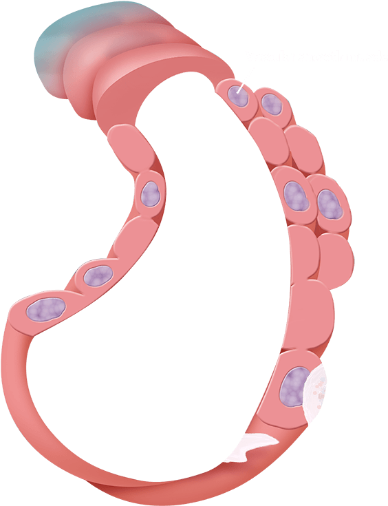 Scroll Down To Start The Tour - Tissue Clipart (2000x1125), Png Download