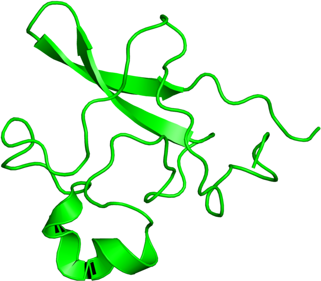 Illustration Clipart (800x800), Png Download