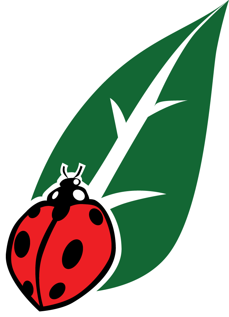 Qic Cannabis Qic Cannabis - Cannabis Clipart (746x1033), Png Download