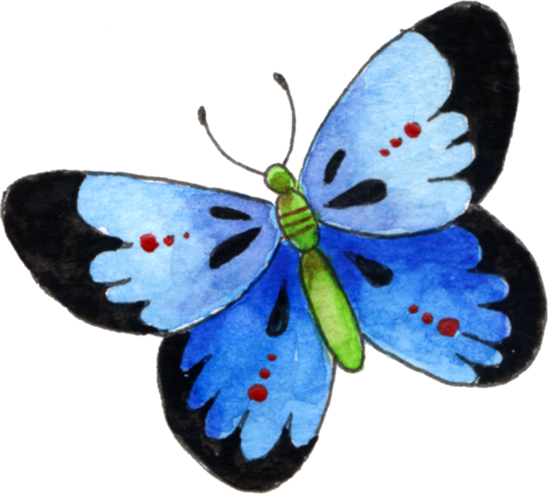 Image Du Blog Zezete2 - Lepidoptera Clipart (800x720), Png Download