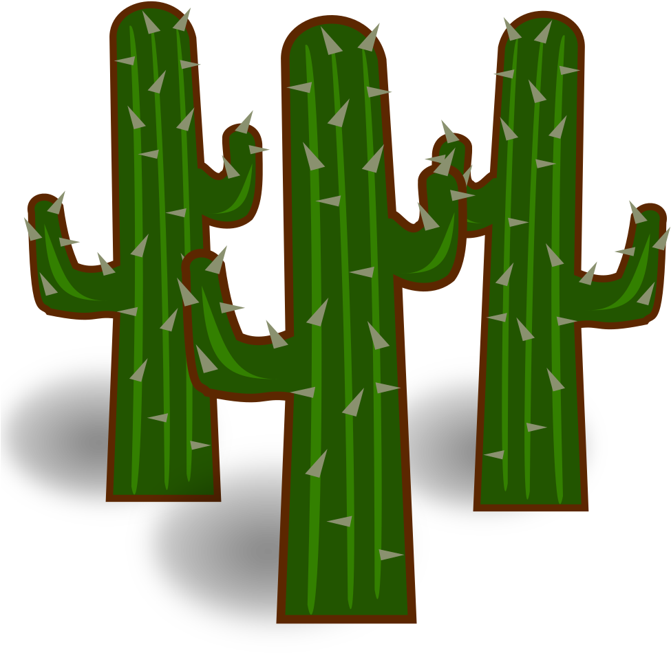 Medium Image - Transparent Background Cactus Clipart - Png Download (800x800), Png Download