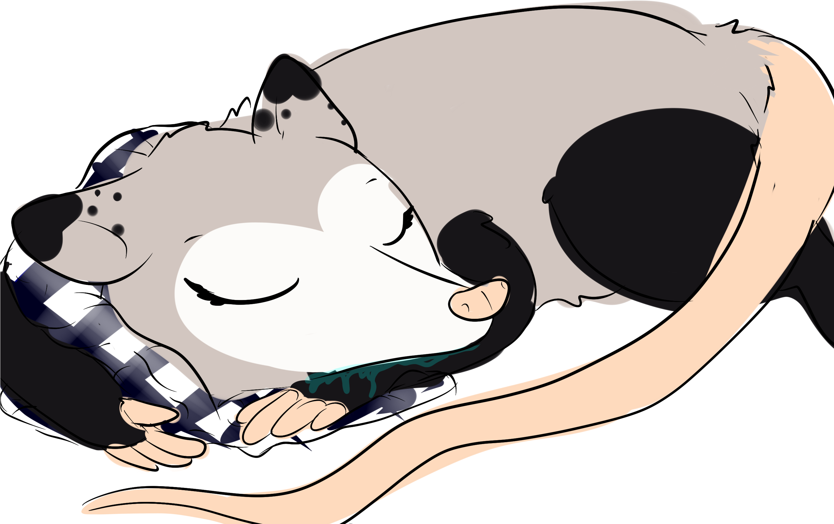 Possum Queen <3 « Older - Sleep Clipart (2755x2755), Png Download